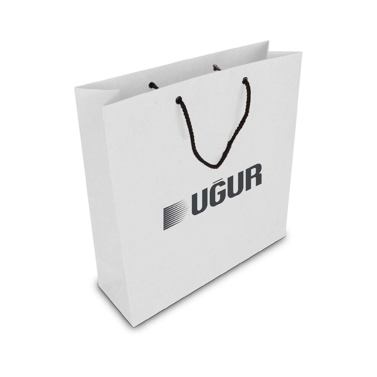 ALA-56 KÜÇÜK BOY KARTON ÇANTA(24x25.5x8,5 cm)